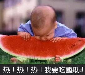 玩泥看娱乐吃瓜,揭秘娱乐圈的泥与瓜 第2张 玩泥看娱乐吃瓜,揭秘娱乐圈的泥与瓜 第2张